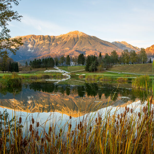 King´s House Royal Bled Golf 3 noci a neobmedzený golf  ****